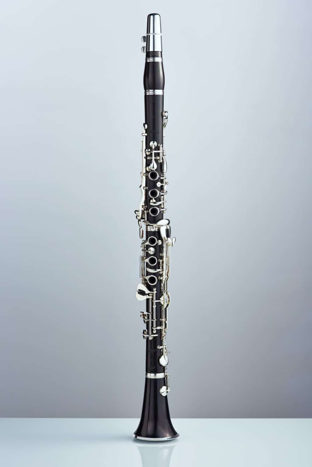 / Oboen Musik Hammerschmidt