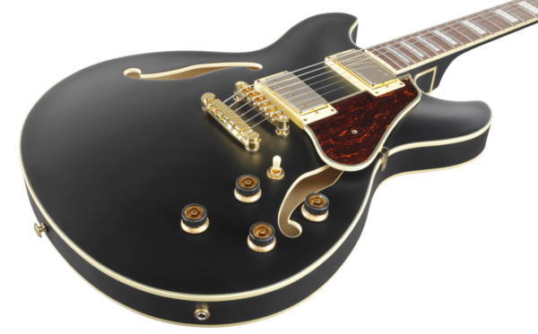 Ibanez AS75G-BKF - E-Gitarre Ansicht vom Korpus Produktbild