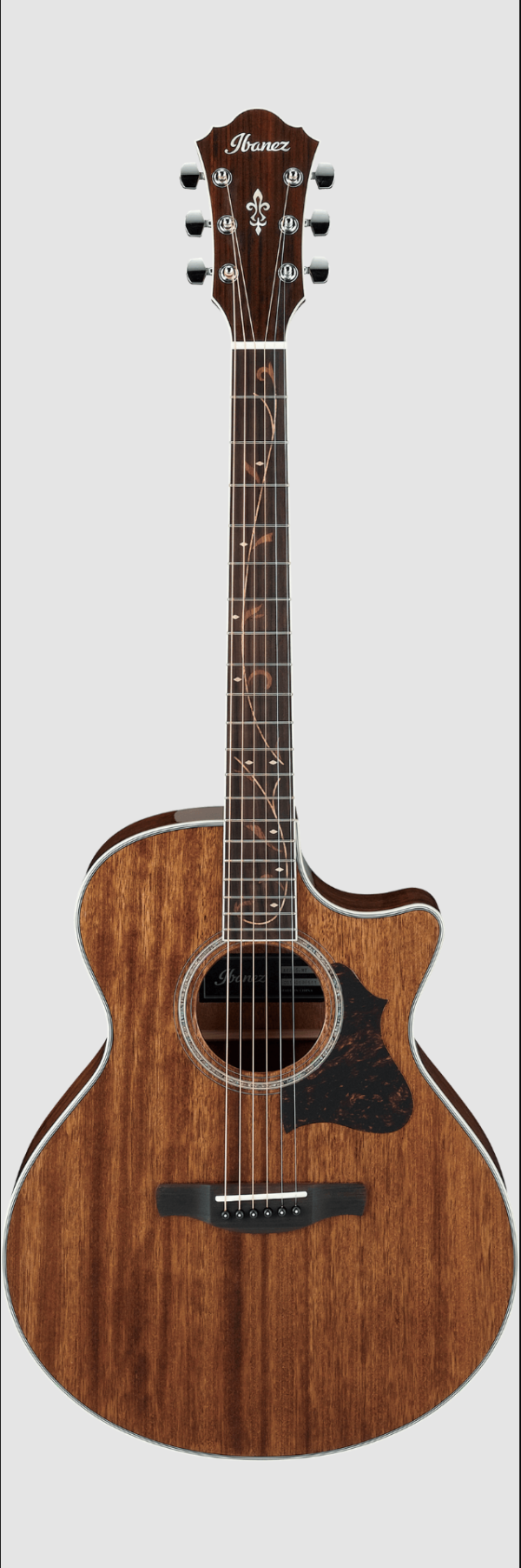 Ibanez AE245-HT - Westerngitarre