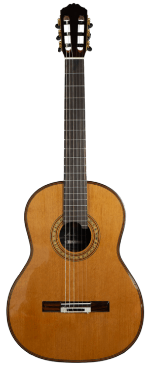 Merida MC-10 von vorne ganze Gitarre Produktbild