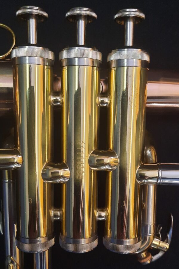 Venus Flügelhorn FG-300G lackiert mit Etui Detailaufnahme von den Pumpventilen Produktbild