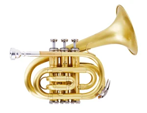 Das Bild zeigt eine goldfarbene MTP B-Taschentrompete Mod.T-210 PT Banana - brushed auf einem weißen Hintergrund.