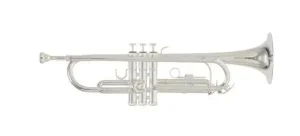Das Bild zeigt eine silberfarbene Roy Benson TR-202 Trompete in horizontaler Ausrichtung vor einem weißen Hintergrund.