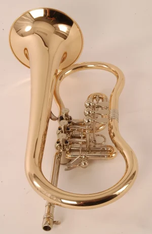 Ein goldenes Worischek Flügelhorn Modell D16 steht aufrecht und zeigt seine gewundenen Rohre und Ventile.