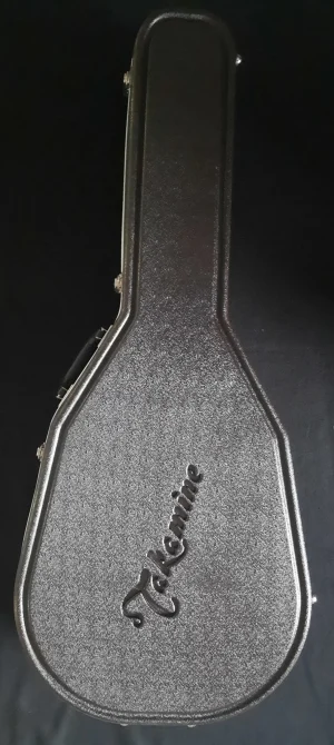 Das Bild zeigt einen senkrecht stehenden, grauen Takamine TSF 40 Gitarrenkoffer mit dem Takamine-Logo in Schreibschrift auf der unteren Hälfte.
